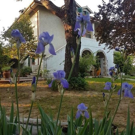 Meravilla Ασκόλι Πιτσένο Εξωτερικό φωτογραφία