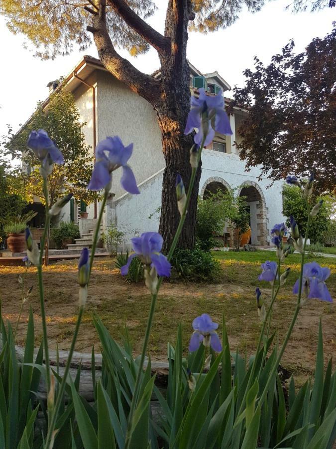 Meravilla Ασκόλι Πιτσένο Εξωτερικό φωτογραφία